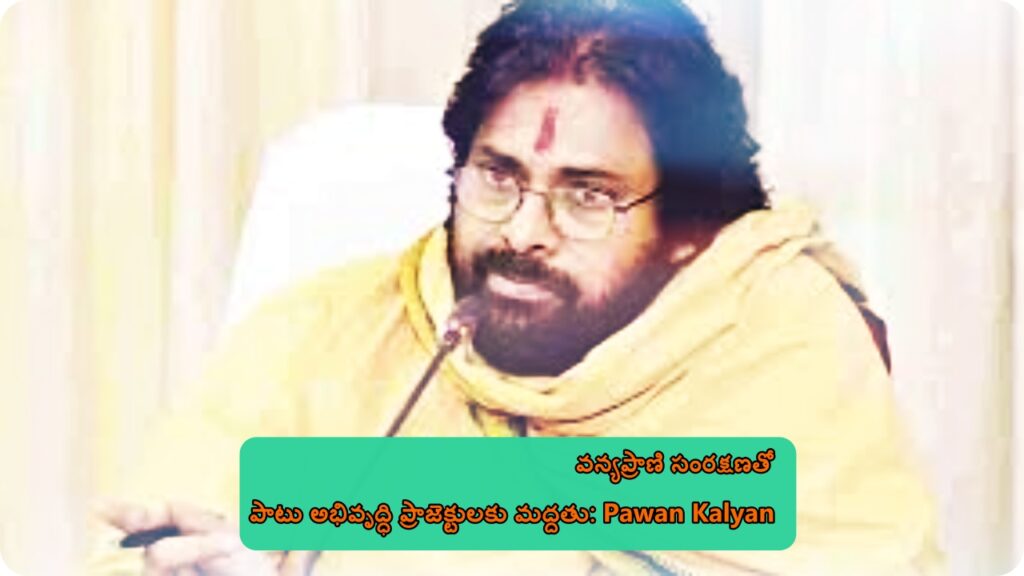 వన్యప్రాణి సంరక్షణతో పాటు అభివృద్ధి ప్రాజెక్టులకు మద్దతు: Pawan Kalyan