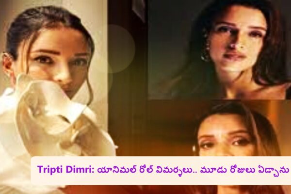 Tripti Dimri: యానిమల్‌ రోల్‌ విమర్శలు.. మూడు రోజులు ఏడ్చాను