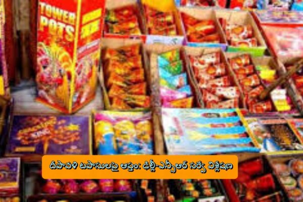 దీపావళి టపాసులపై ఆప్తం: ఢిల్లీ-ఎన్సీఆర్ సర్వే విశ్లేషణ