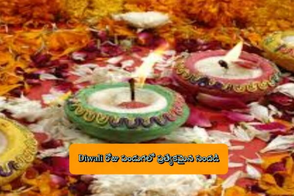 Diwali రోజు పండుగలో ప్రత్యేకమైన సందడి