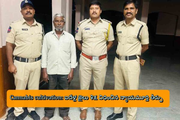 Cannabis cultivation: ఐదేళ్ల జైలు శిక్ష విధించిన న్యాయమూర్తి తీర్పు