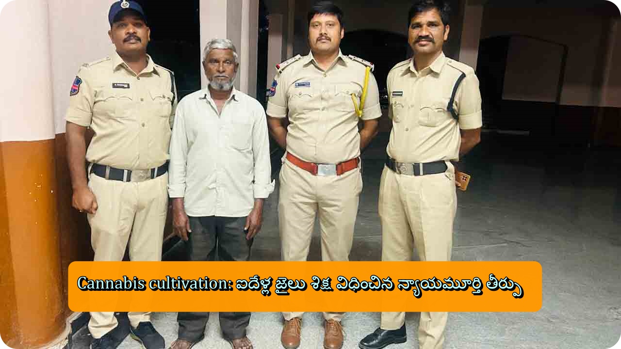 Cannabis cultivation: ఐదేళ్ల జైలు శిక్ష విధించిన న్యాయమూర్తి తీర్పు