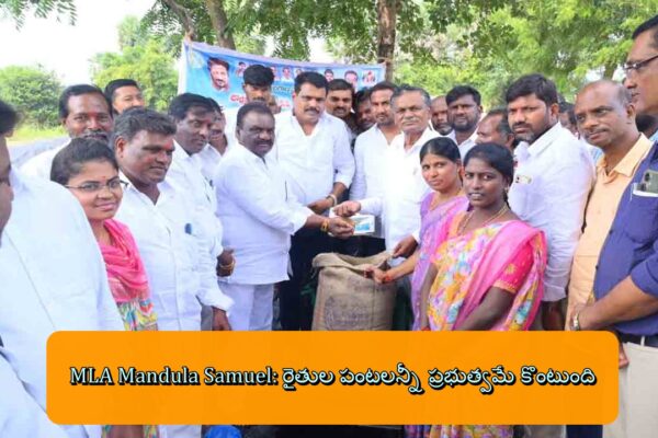 MLA Mandula Samuel: రైతుల పంటలన్నీ ప్రభుత్వమే కొంటుంది