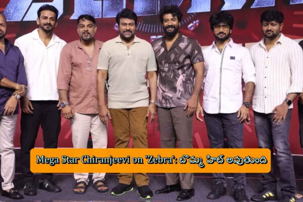 Mega Star Chiranjeevi on 'Zebra': బొమ్మ హిట్ అవుతుంది