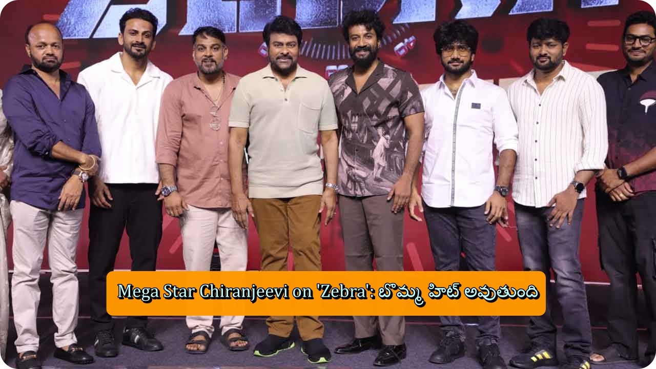 Mega Star Chiranjeevi on 'Zebra': బొమ్మ హిట్ అవుతుంది