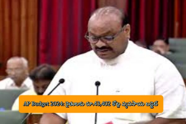 AP Budget 2024: రైతులకు రూ.43,402 కోట్ల వ్యవసాయ బడ్జెట్