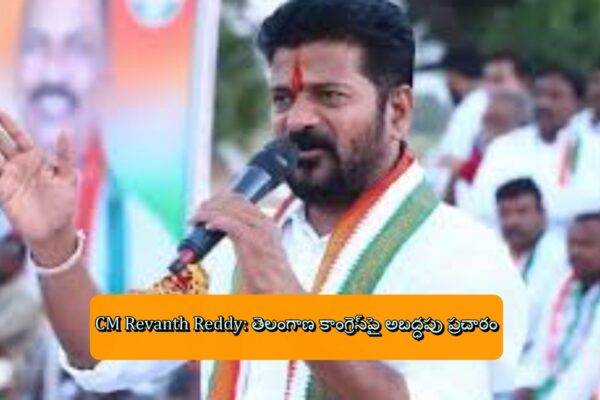 CM Revanth Reddy: తెలంగాణ కాంగ్రెస్‌పై అబద్ధపు ప్రచారం