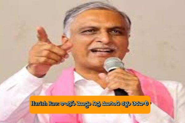 Harish Rao: కాంగ్రెస్ మొద్దు నిద్ర ముగించి కళ్లు తెరవాలి