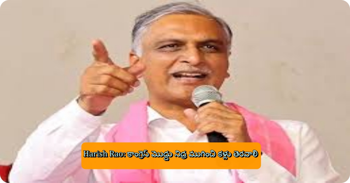 Harish Rao: కాంగ్రెస్ మొద్దు నిద్ర ముగించి కళ్లు తెరవాలి