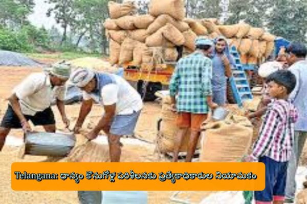 Telangana: ధాన్యం కొనుగోళ్ల పరిశీలనకు ప్రత్యేకాధికారుల నియామకం